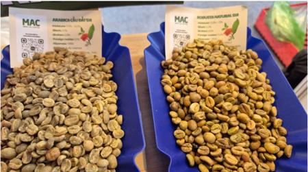 Giá cà phê hôm nay 29-1: Bốc hơi 3 con số