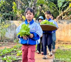 Đa dạng hóa hoạt động giáo dục kỹ năng sống cho học sinh