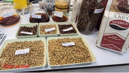 Giá cà phê hôm nay 5-1: Bất ngờ về Arabica Việt