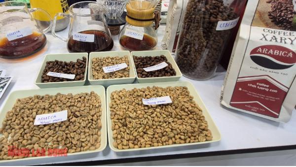 Giá cà phê hôm nay 5-1: Bất ngờ về Arabica Việt