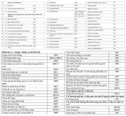 252 bệnh mạn tính được kê đơn thuốc BHYT tới 90 ngày