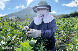 Từ ngày 5/1/2026, làng nghề truyền thống được hỗ trợ 50 triệu đồng