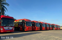 Chủ động các phương án phục vụ hành khách dịp lễ, Tết