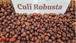 Giá cà phê hôm nay 6-1: Quay đầu giảm sau 7 phiên tăng