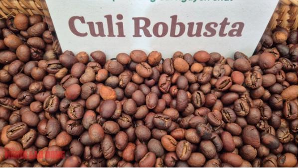 Giá cà phê hôm nay 6-1: Quay đầu giảm sau 7 phiên tăng