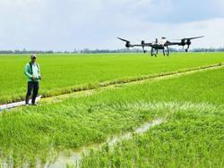 2 hoạt chất thuốc bảo vệ thực vật sắp bị cấm sử dụng tại Việt Nam