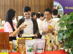 Đẩy mạnh phát triển thương mại điện tử