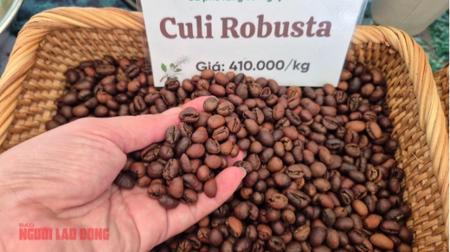 Cà phê lập kỷ lục xuất khẩu 9 tỉ USD: Chủ tịch VICOFA nói gì?