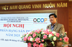Đắk Lắk: Đánh giá, phân hạng 12 sản phẩm OCOP cấp tỉnh năm 2025
