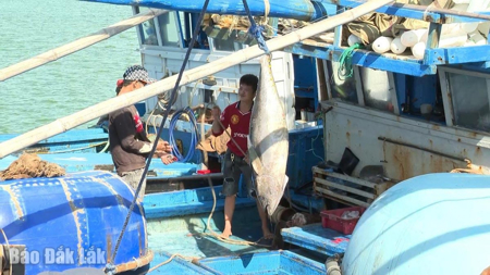 Phê duyệt danh mục ngành hàng được ưu tiên hỗ trợ liên kết sản xuất, tiêu thụ sản phẩm