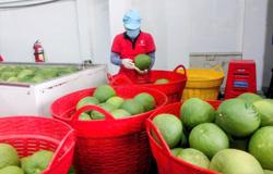 Xuất khẩu lập đỉnh tạo dư địa tăng trưởng mới