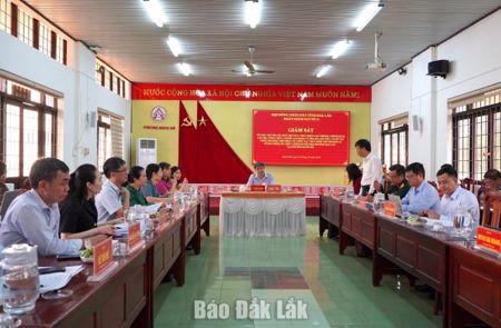 Giám sát về sắp xếp, tổ chức chính quyền địa phương hai cấp tại phường Buôn Hồ