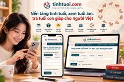 Nền tảng tính tuổi, xem tuổi âm, tra tuổi con giáp cho người Việt