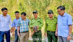 Lan tỏa ý thức bảo vệ động vật hoang dã
