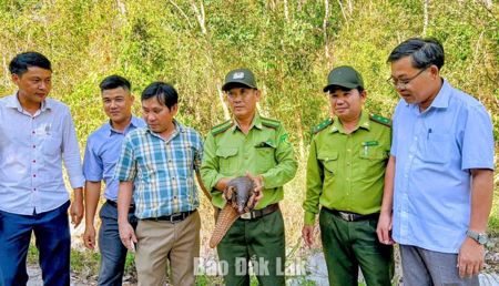 Lan tỏa ý thức bảo vệ động vật hoang dã