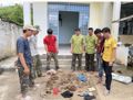 Phát hiện, xử lý 547 vụ vi phạm Luật Lâm nghiệp