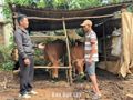 Trao sinh kế, tiếp sức người dân vươn lên