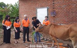 Công ty Điện lực Đắk Lắk trao bê giống, tặng suất ăn và hỗ trợ trẻ em có hoàn cảnh khó khăn