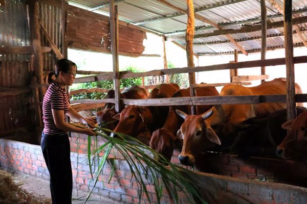 Sinh kế phù hợp giúp người dân thoát nghèo