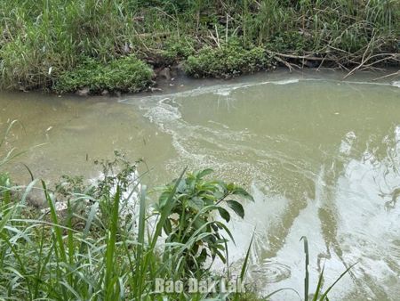 Kiểm tra, phát hiện 4 doanh nghiệp trong cụm công nghiệp Tân An đấu nối xả thải sai quy định