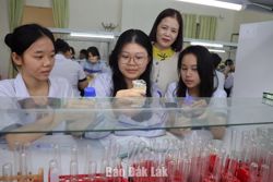 Sở Giáo dục và Đào tạo xét thăng hạng cho 3.255 viên chức