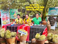 Học tập suốt đời trong thời đại công nghệ