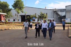 Lãnh đạo UBND tỉnh kiểm tra dự án trọng điểm tại Cụm công nghiệp Cư Kuin