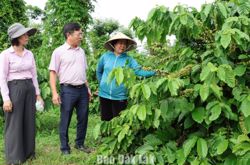 Huy động nguồn lực cho tín dụng chính sách xã hội