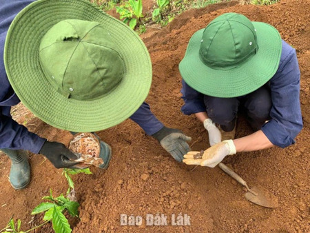 Đội K51 quy tập 2 hài cốt liệt sĩ tại Đắk Lắk và Campuchia