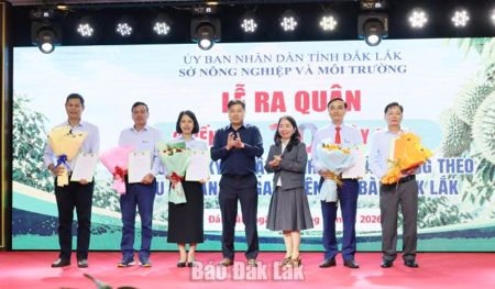 Ra quân chiến dịch 30 ngày đêm hướng dẫn kỹ thuật canh tác sầu riêng theo tiêu chuẩn VietGAP