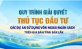 (Infographic) Quy trình giải quyết thủ tục đầu tư các dự án sử dụng vốn ngoài ngân sách trên địa bàn tỉnh Đắk Lắk