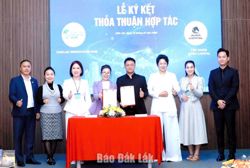 Chiến lược “săn vốn” cho startup