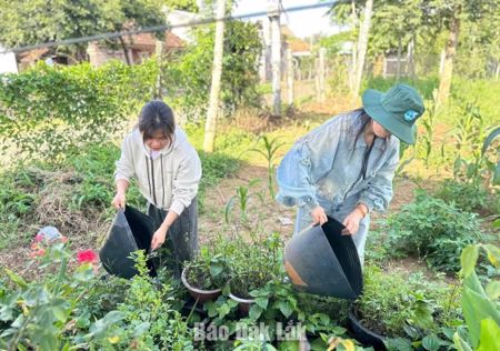 Xã Ea Kar đồng loạt ra quân diệt bọ gậy, phòng chống sốt xuất huyết