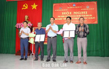 Xã Hòa Mỹ: Nâng cao giá trị rừng trồng