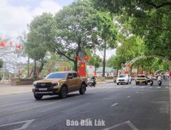 Lắng nghe miền xanh đại ngàn