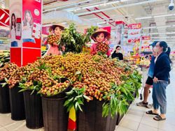 Để OCOP trở thành động lực cho kinh tế nông thôn