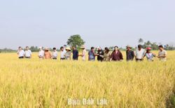 Bảo vệ môi trường - Nền tảng và động lực để phát triển