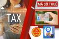 Doanh nghiệp đã nộp hồ sơ giải thể, chấm dứt mã số thuế có phải nộp hồ sơ khai thuế kỳ sau?