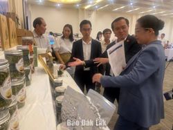 Công nghệ đồng hành cùng cuộc sống