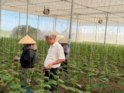 Nông nghiệp xanh: Chia sẻ lợi ích để nâng giá trị