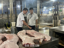 Tăng cường phòng, chống dịch bệnh đàn vật nuôi dịp Tết Nguyên đán Bính Ngọ