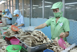 Khởi đầu tích cực, tạo đà tăng trưởng