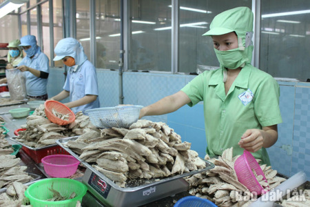 Khởi đầu tích cực, tạo đà tăng trưởng