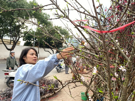 Dự báo chi tiết thời tiết cả nước dịp Tết Nguyên đán Bính Ngọ 2026