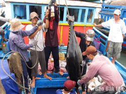 Sản vật đại dương vươn tầm quốc tế