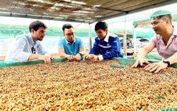 Thương hiệu vươn xa từ sức mạnh nội sinh