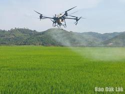 Tấm vé thông hành cho nông sản Đắk Lắk