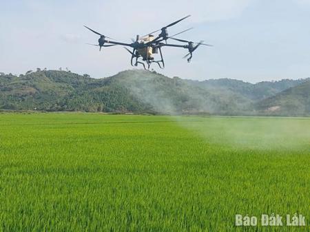 Tấm vé thông hành cho nông sản Đắk Lắk