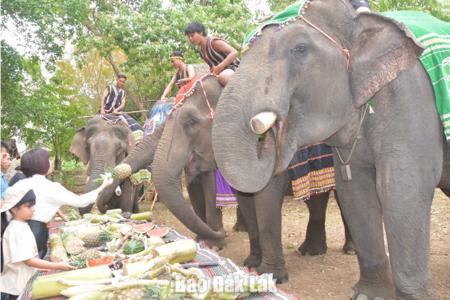 Du khách tuổi Ngọ được ưu đãi đặc biệt tại Trung tâm Du lịch Cầu treo Buôn Đôn