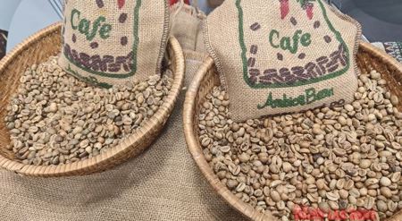 Giá cà phê hôm nay 23-2: Dự báo từ Tổ chức Cà phê quốc tế